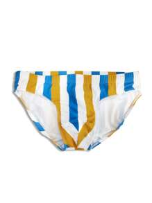 Men Striped Print Swim Brief - Multicolor - View 3