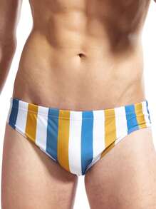 Men Striped Print Swim Brief - Multicolor - View 5