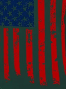 EMERY ROSE 國旗圖案前交叉T恤 - 墨綠色 - 查看 7