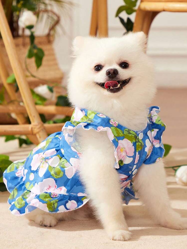 Studiogarza 1個 ファブリック 花柄プリント 用 犬 と ネコ 夏向け ペットドレス - マルチカラー - 見る 4