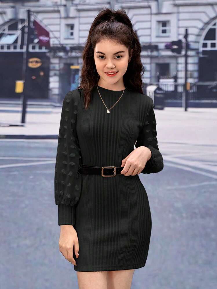 Teen Girl Swiss Dot Lantern Sleeve Dress Without Belt | SHEIN USA