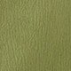 Verde Lima
