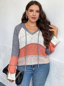 SHEIN LUNE Plus Colorblock Raglan Sleeve Drawstring Hooded Sweater