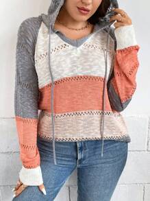 SHEIN LUNE Plus Colorblock Raglan Sleeve Drawstring Hooded Sweater