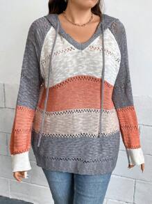 SHEIN LUNE Plus Colorblock Raglan Sleeve Drawstring Hooded Sweater