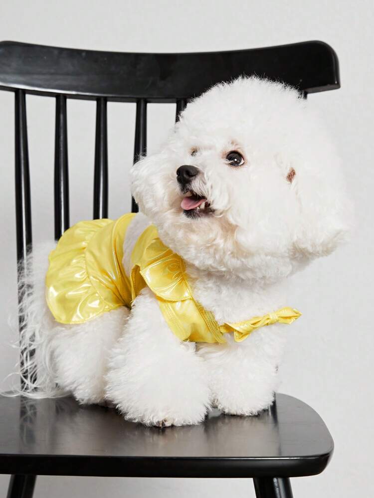 1pc Solid Color Ruffle Detail Pet Skirt