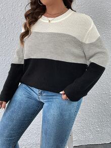 SHEIN LUNE Talla grande Jersey de color combinado de hombros caídos - Multicolor - Ver 6
