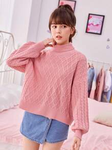 SHEIN Garota Adolescente Gola Alta Ombro Caído Suéter