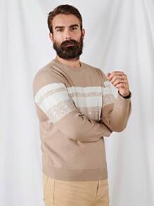 Manfinity VCAY Nam In sọc Khối màu Áo len - Nhiều màu - Xem 6