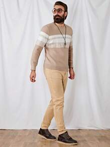 Manfinity VCAY Nam In sọc Khối màu Áo len - Nhiều màu - Xem 3