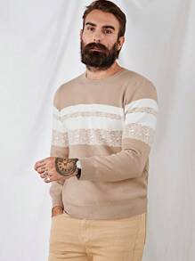 Manfinity VCAY Nam In sọc Khối màu Áo len - Nhiều màu - Xem 5