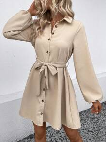 SHEIN Privé Lantern mouwen Met riem Hemdjurk