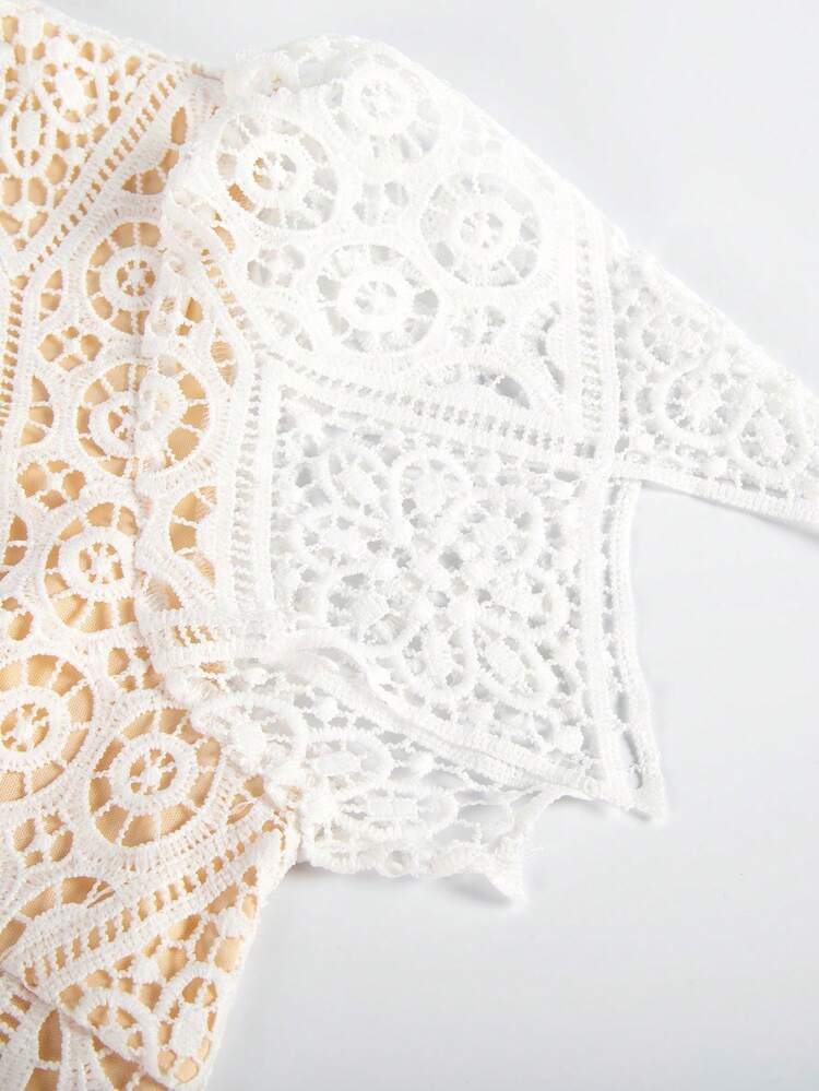 Solid Lace Overlay A-line Dress | SHEIN USA
