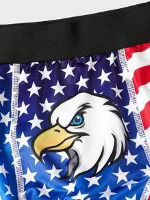 Men American Flag Print Boxer Brief - Multicolor - View 3