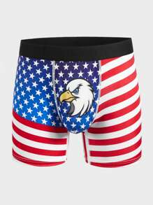 Men American Flag Print Boxer Brief - Multicolor - View 5