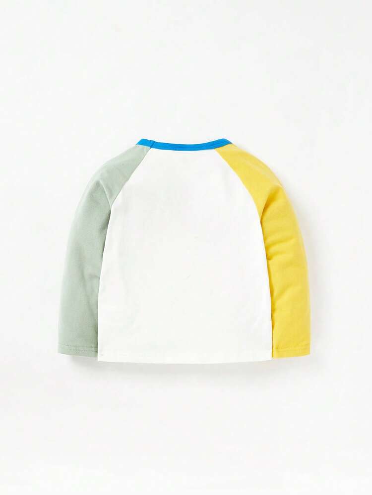 Baby Boy Colorblock Letter & Dinosaur Print Contrast Raglan Sleeve Tee