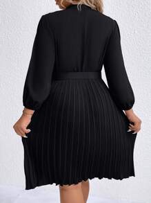 Calvaya Plus Flap Detail Pleated Hem Belted Dress - Black - View 2