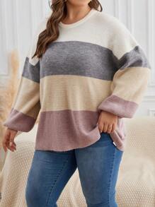 SHEIN Frenchy Áo len trễ vai Plus Color Block - Nhiều màu - Xem 5