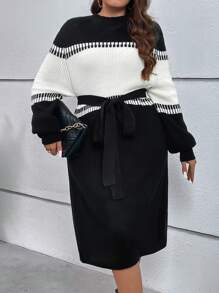 SHEIN LUNE Plus Colorblock Drop Shoulder Belted Sweater Dress In Fall/Winter - Black and White - View 5