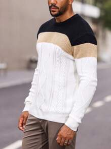 Manfinity Homme Nam Plus Khối màu Xoắn Dan Áo len - Nhiều màu - Xem 8