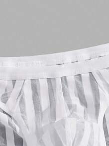 Men Striped Mesh Brief Bridallingerie - White - View 4
