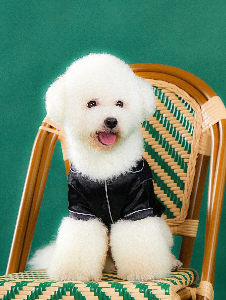 Sainen.image 1 件裝寵物貓狗家居服小型犬睡衣