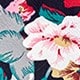 彩色