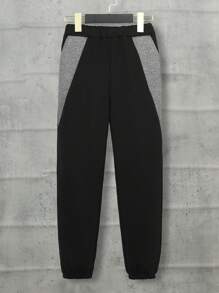 SHEIN Tween Boy Two Tone Raglan Sleeve Hoodie & Sweatpants