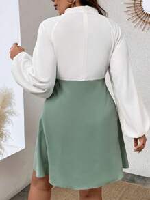 Celure Plus Contrast Lace Mock Neck Lantern Sleeve Dress