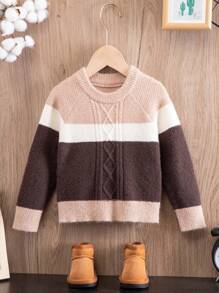 Young Boy Color Block Raglan Sleeve Sweater - Multicolor - View 1