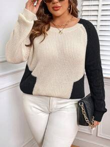 SHEIN LUNE Plus Two Tone Raglan Sleeve Sweater - Multicolor - View 1