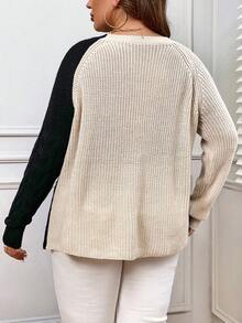 SHEIN LUNE Plus Two Tone Raglan Sleeve Sweater - Multicolor - View 2