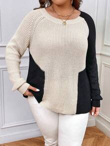 SHEIN LUNE Plus Two Tone Raglan Sleeve Sweater - Multicolor - View 3