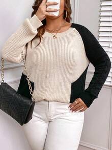 SHEIN LUNE Plus Two Tone Raglan Sleeve Sweater - Multicolor - View 6