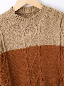 SHEIN Tween Boy Two Tone Cable Knit Sweater - Multicolor - View 6