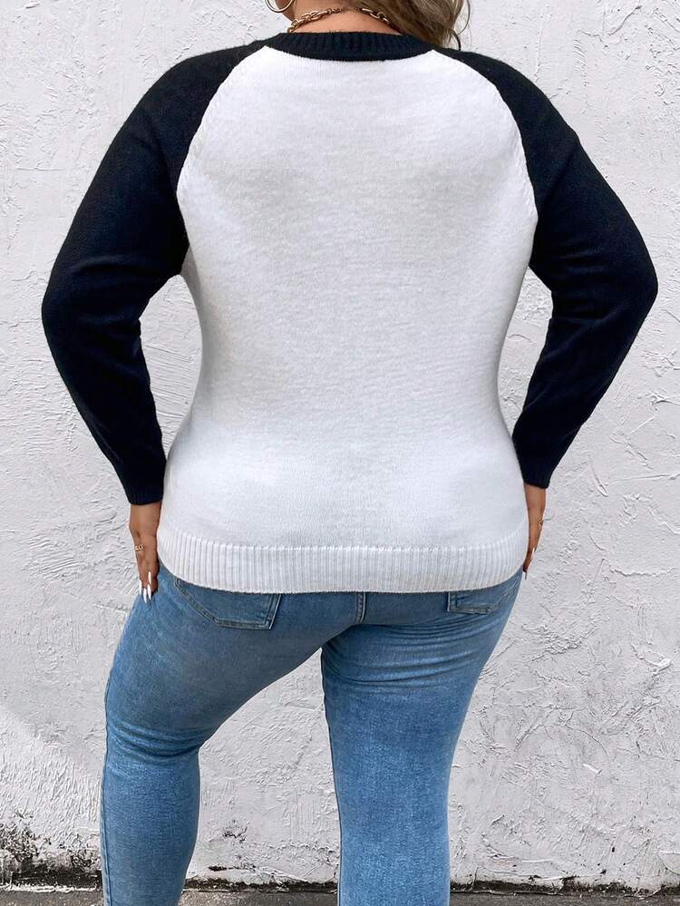 Plus Colorblock Raglan Sleeve Sweater Knit Pullover Fall Winter Sweater