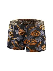 Men 5pcs Geo Print Boxer Brief - Multicolor - View 4