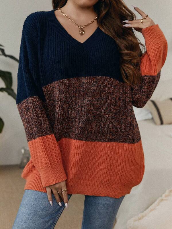 SHEIN LUNE Plus Color Block Drop Shoulder Sweater