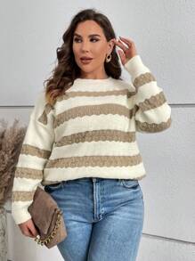 SHEIN LUNE Plus Two Tone Drop Shoulder Sweater - Multicolor - View 6