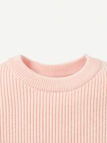 Baby Girl Contrast Mesh Ribbed Knit Sweater Dress - Baby Pink - View 5