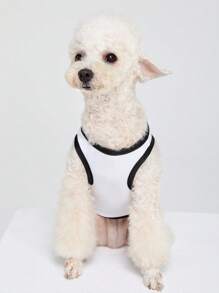 GAWX Women Multicolor Pet Tanks     Summer Outfits For Women Going Out