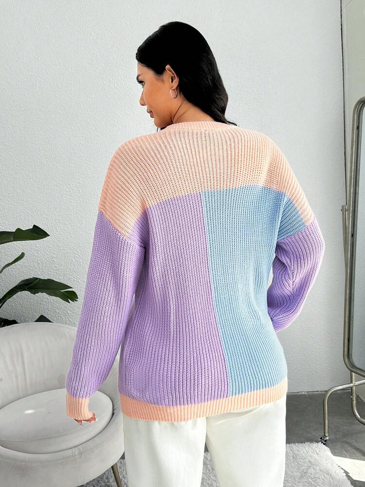 Plus Color Block Drop Shoulder Sweater