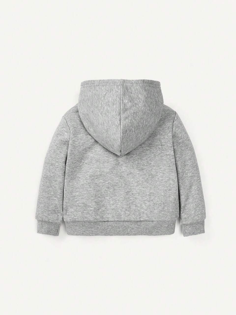 Baby Boy Dinosaur Print Teddy Lined Hooded Sweatshirt