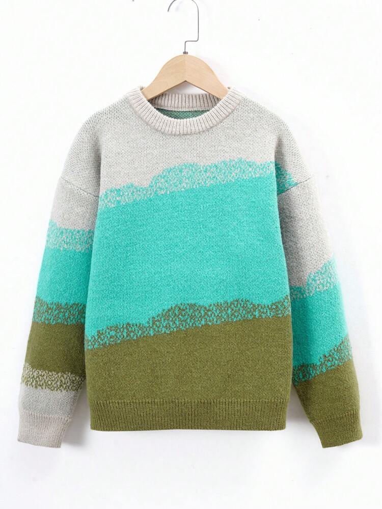 Young Boy Color Block Drop Shoulder Sweater