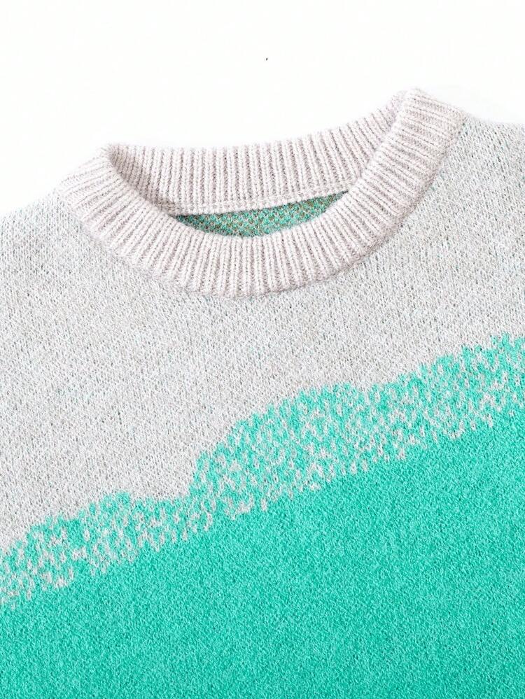 Young Boy Color Block Drop Shoulder Sweater