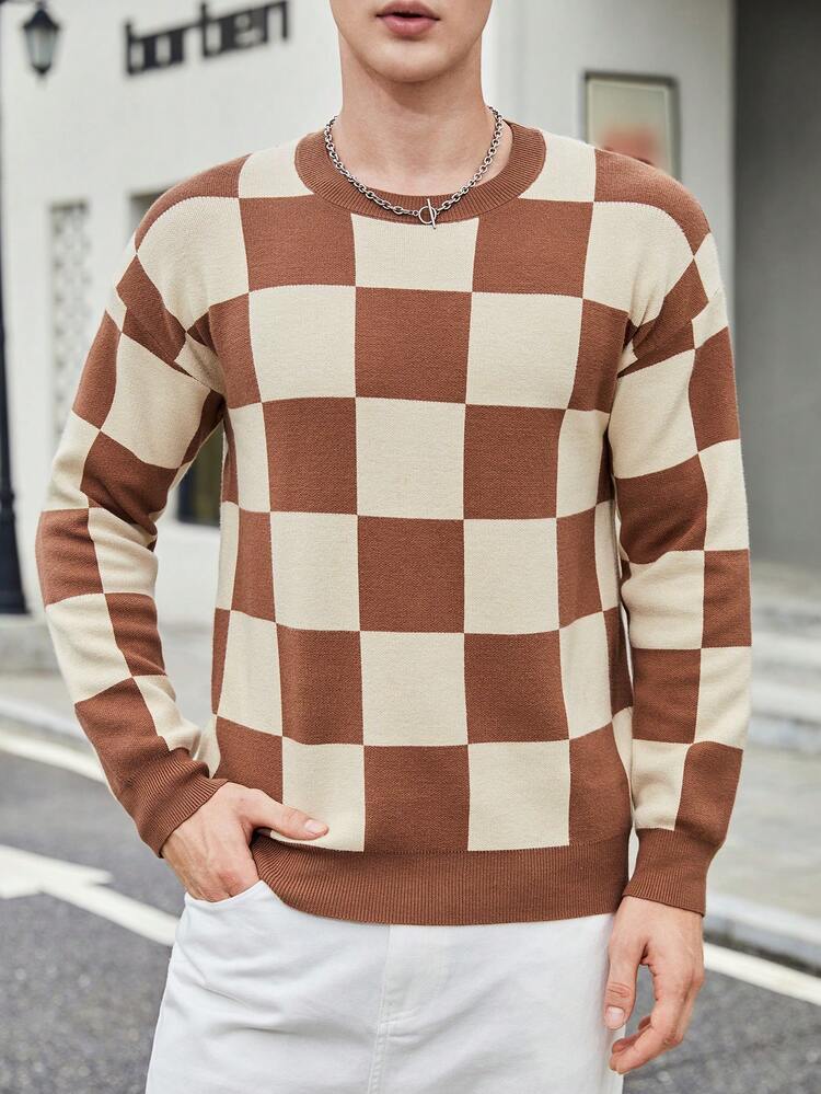 Men Checker Pattern Drop Shoulder Sweater, For Fall Winter