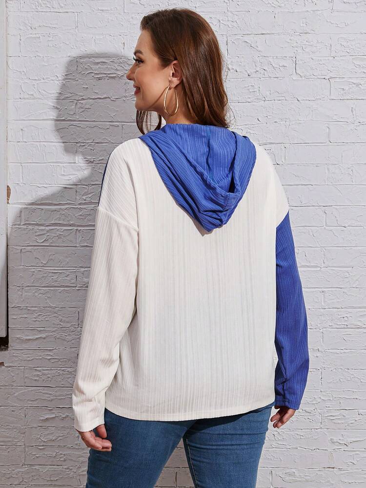 Plus Size Colorblock Drop Shoulder Drawstring Sweatshirt Pullover Fall Sweatshirt