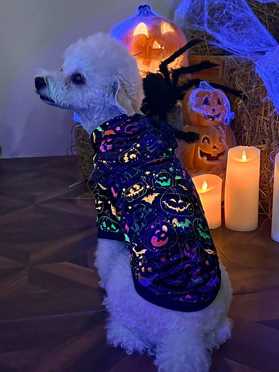 PETSIN 1pc Pet Halloween Bat & Pumpkin Print Hoodie With Glow-in-the-dark Design - Multicolor - View 1