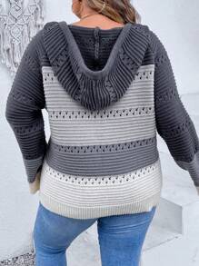 SHEIN LUNE Plus Colorblock Drop Shoulder Drawstring Hooded Sweater