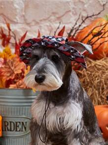 PETSIN Halloween Plaid Skeleton Pet Hat - Rose Red - View 7